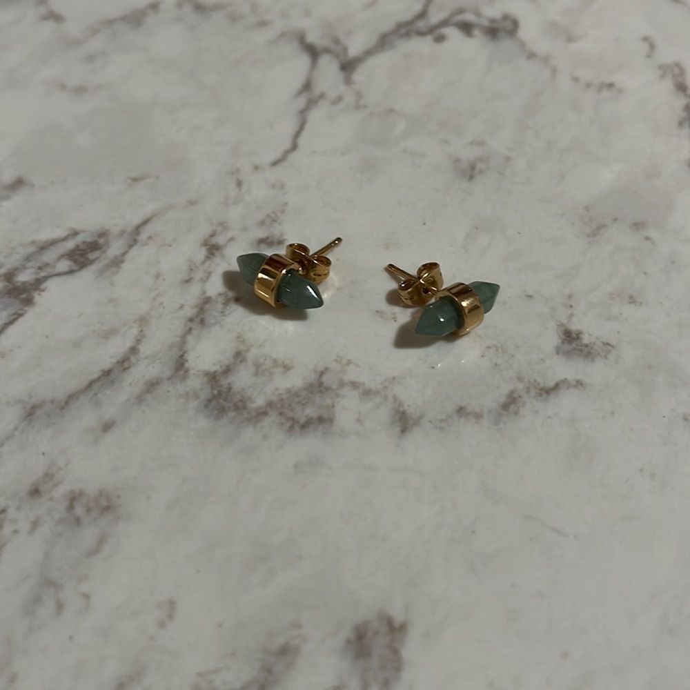 Coach earrings